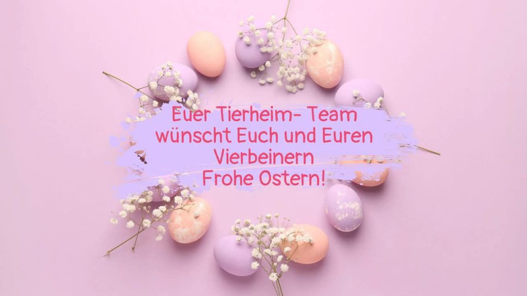 Ostereier als Symbolbild zu den Osteröffnungszeiten im Tierheim Fürstenwalde